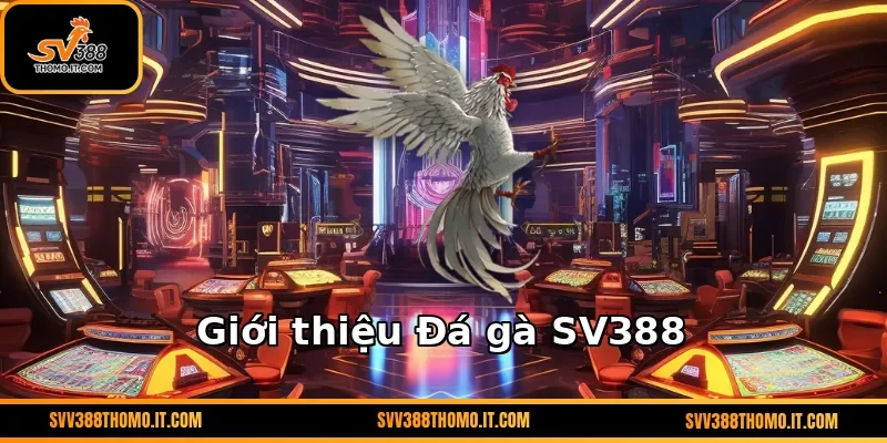 Giới thiệu Đá gà SV388