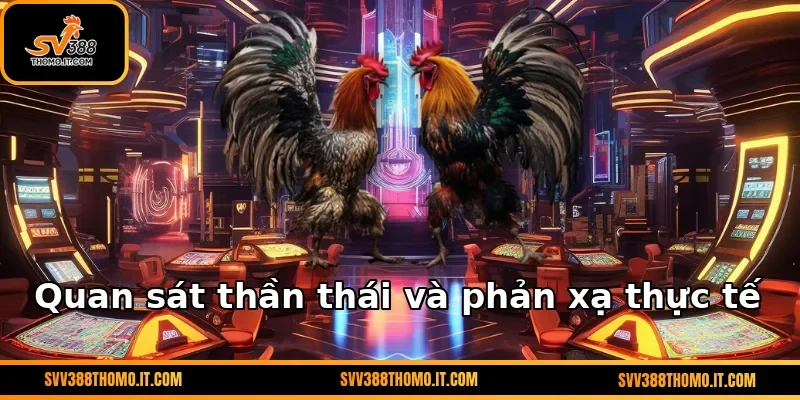 Quan sát thần thái và phản xạ thực tế