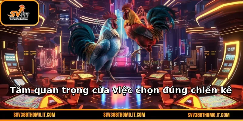 Tầm quan trọng của việc chọn đúng chiến kê