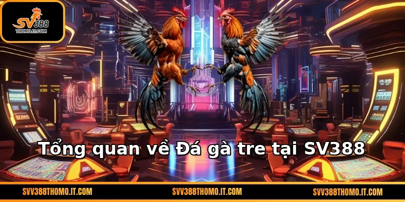 Tổng quan về Đá gà tre tại SV388